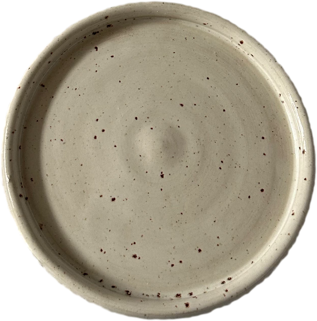 Round speckled ceramic plate with a raised rim
